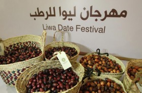 أهالي الظفرة يستعدون لاستقبال مهرجان ليوا للرطب وسط اشتراطات مُحدّدة