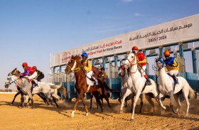 انطلاق السباق التاسع للخيول العربية الأصيلة في الظفرة