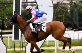 «قرة عين» يتوّج بكأس زايد للخيول العربية الأصيلة في إسبانيا