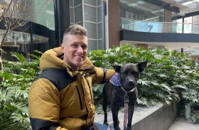 الذكاء الاصطناعي ينقذ كلبة من موت محتم في أستراليا 