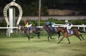 كأس الوثبة للخيول العربية ينطلق بإيطاليا اليوم