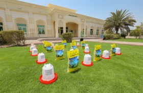 دائرة شؤون الضواحي والقرى تحمي الطيور خلال فصل الصيف بتنفيذ مبادرة سقيا طير
