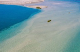 49 محمية في الإمارات تشغل 15.5% من مساحة الدولة