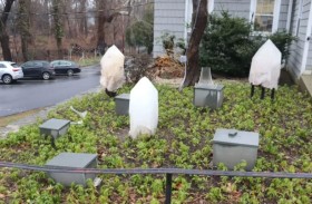 لص يسرق أحجاراً نادرة بـ11 ألف دولار 