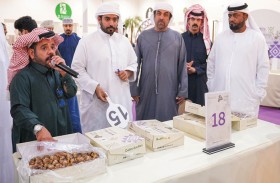 «العين التراثي» يواصل فعالياته ويشهد نشاطاً كبيراً في مزاد التمور