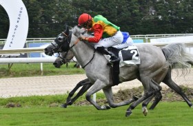 الفرس «فاتنة» تحرز لقب كأس زايد للخيول العربية في إسبانيا