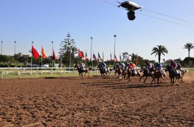 17 خيلا تتنافس اليوم على كأس رئيس الدولة للخيول العربية بالمغرب