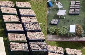 ضبط وليمة من الثعابين لأسرة صينية 