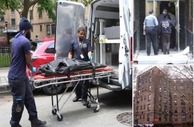 جرو يقضم وجه رضيعة حتى الموت