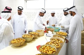 مهرجان الذيد للرطب يرسخ مكانته منصة رائدة للابتكار الزراعي والاستدامة