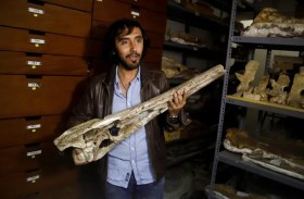 أحفورة تلقي الضوء على أصل التماسيح