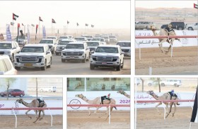 انطلاقة قوية لمنافسات الحول والزمول بختامي مهرجان العين للهجن 2026 