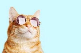 هل تساءلت يوماً كيف ترانا الحيوانات؟