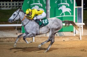 114 خيلا تتنافس في 8 أشواط على مضمار العين للفروسية