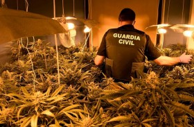  ضبط أكبر كمية من الماريجوانا على الإطلاق في إسبانيا