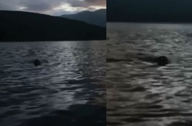 عيون لامعة تطارد رجلاً في قاربه يثير الجدل