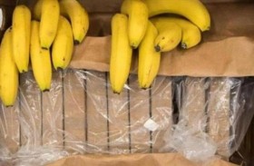 مخدرات في شحنة موز بملايين الدولارات