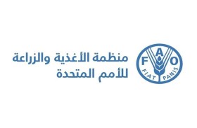 الفاو: أسعار الغذاء العالمية سجلت في أكتوبر أعلى مستوى في 18 شهرا