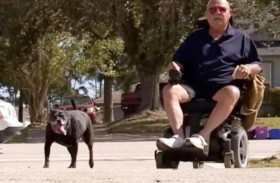 كلبة تنقذ صاحبها بعد سقوطه في بحيرة