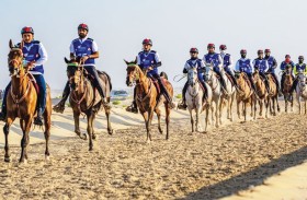 اتحاد الإمارات للفروسية يعلن إقامة 60 سباقاً للقدرة والتحمل لموسم 2026-2027