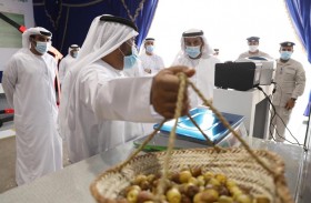 فارس المزروعي: مهرجان ليوا للرطب يجسد رؤية الشيخ زايد مؤسس النهضة الزراعية بدولة الإمارات