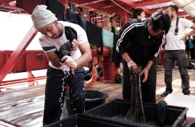  رحلة شابين بنغلادشيين من جحيم ليبيا إلى قارب هجرة غارق 