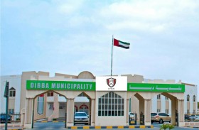 بلديه دبا الفجيرة تصادر كميات من مادتي البان والنسوار 