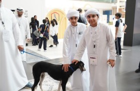 إقبال على فعاليات السلوقي العربي في معرض أبوظبي للصيد