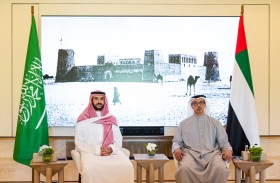 منصور بن زايد يلتقي خالد بن سلمان ويبحثان علاقات التعاون ومستجدات الأوضاع في المنطقة