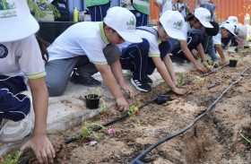 بلدية مدينة أبوظبي تكثف جهودها للحفاظ على المظهر العام وزيادة المناطق الخضراء والرقعة الزراعية