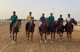 «اتحاد الفروسية» يعلن تفاصيل مشاركة منتخب «التقاط الأوتاد» في تصفيات مونديال 2026