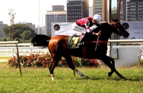 الفرس «كاليفا» بطلة لكأس الوثبة في البرازيل