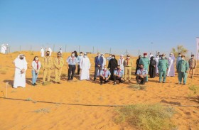 هيئة البيئة والمحميات الطبيعية تنظم مبادرة حملة تشجير محمية المنتثر 