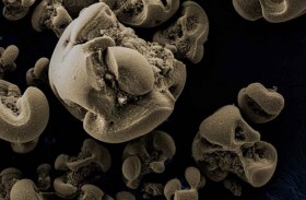 لأول مرة.. اكتشاف بكتيريا تأكل المعادن