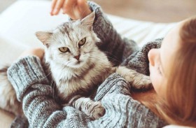 قطط المنزل ترتبط بخطر الإصابة بالفصام.. دراسة تكشف