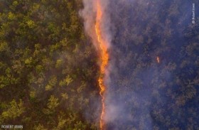 تعرف على تفاصيل أحسن صورة للحياة البرية