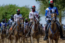 نادي دبي للفروسية: أكثر من 4 آلاف جواد شاركت في سباقات الموسم الحالي