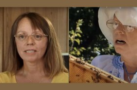 أمريكية تدمن لسعات النحل