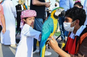 زايد العليا تنظم فعالية الطيران الحر للطيور الناطقة الترفيهية لأصحاب الهمم ضمن شهر الابتكار