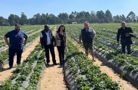 غرفة دبي العالمية تدعم توسّع شركة المنتجات الزراعية الزيمبابوية «نيمبي» في دبي