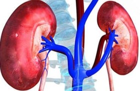 زوج «شيطان» يحاول بيع كلية زوجته بعد إيهامها بالمرض