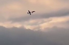 حادثة مأسوية لطائرتين استعراضيتين