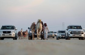 برعاية محمد بن زايد.. مهرجان الظفرة ينطلق اليوم