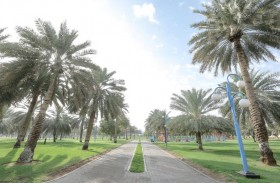 بلدية مدينة أبوظبي تعقد ملتقى افتراضياً لسكان منطقة الخالدية في أبوظبي