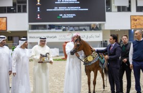 مربط دبي يتألق ويحافظ على الصدارة