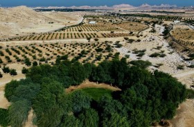 بلدية العين تستعرض مشروع تطوير أشجار الفواكه خلال المعرض الزراعي الإماراتي 2026