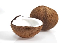 جوز الهند