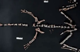 اكتشاف بقايا أحد أقدم ديناصورات العالم 