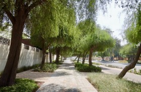 بلدية مدينة أبوظبي تؤهل وتطور الزراعات التجميلية على جوانب الطرق في جزيرة أبوظبي