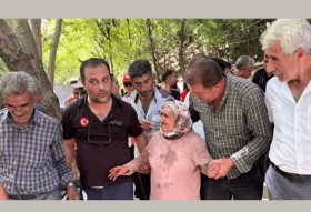 العثور على مُسنة تائهة في غابة